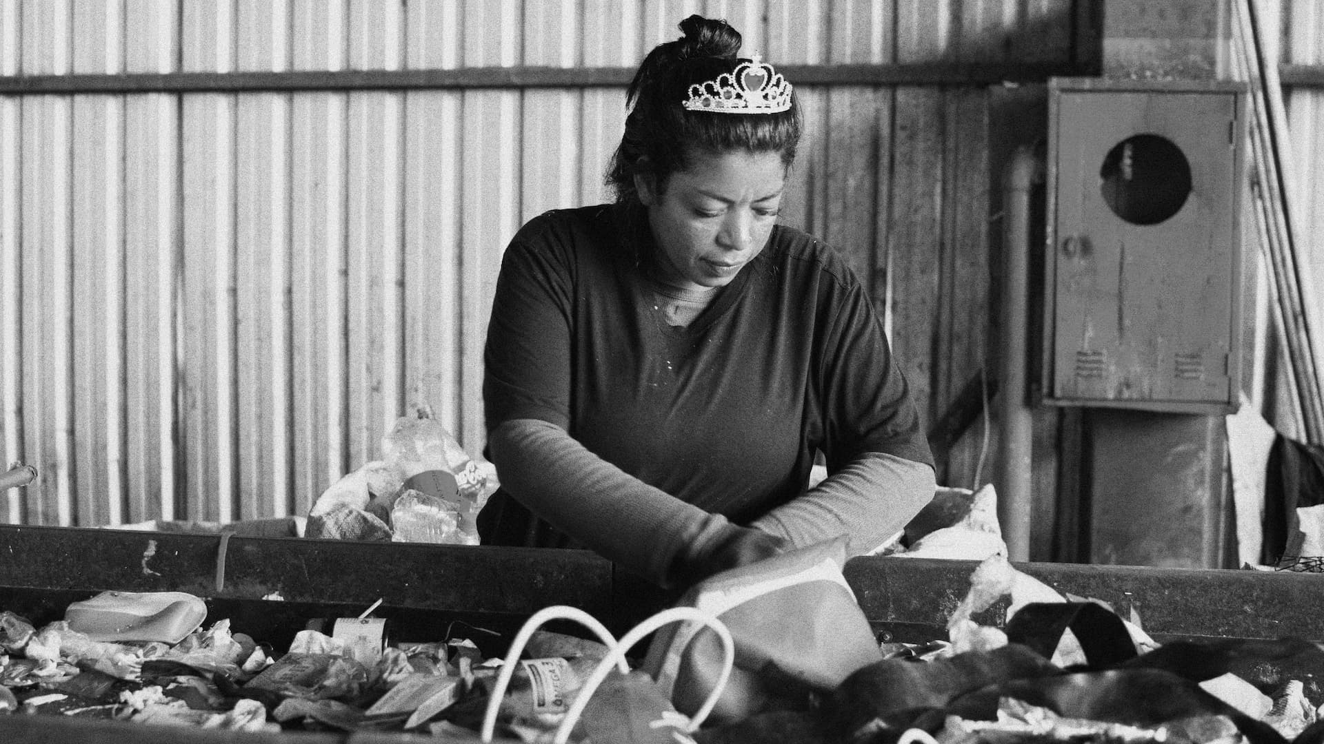 Pics Reciclagem (13)