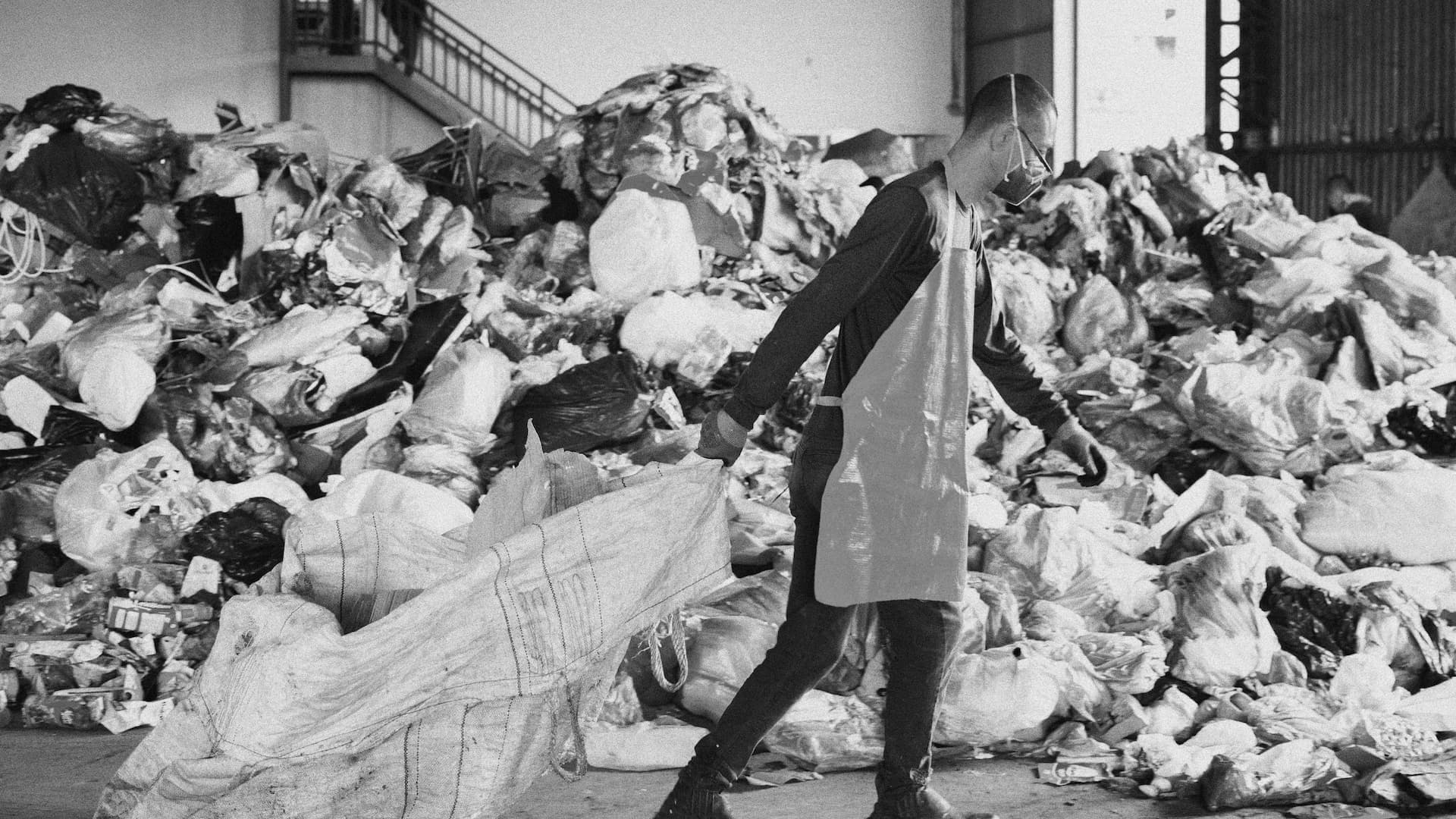 Pics Reciclagem (18)